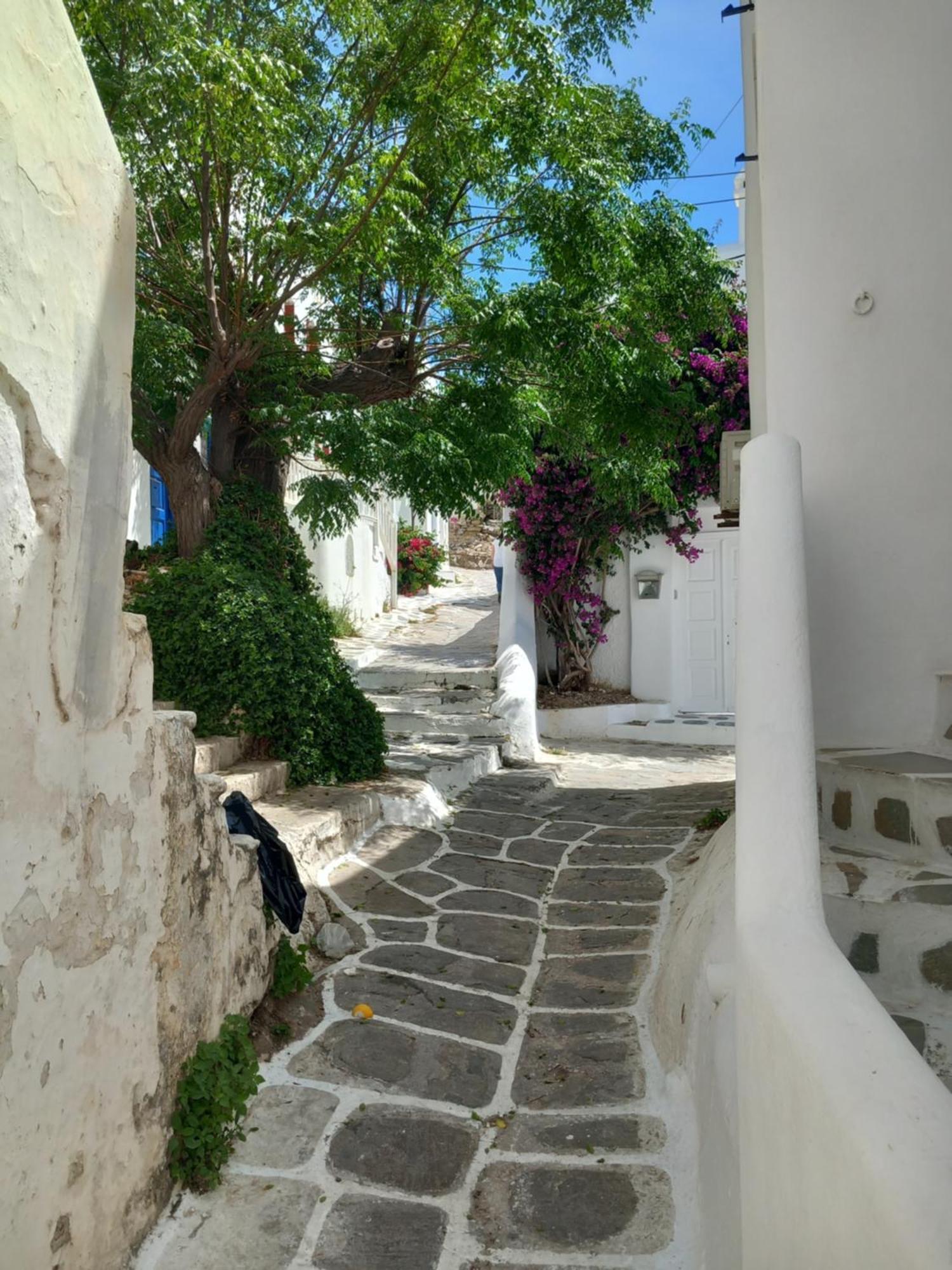 Alex Oldtown Sea View Rooms And Appartments Mykonos Town Szoba fotó