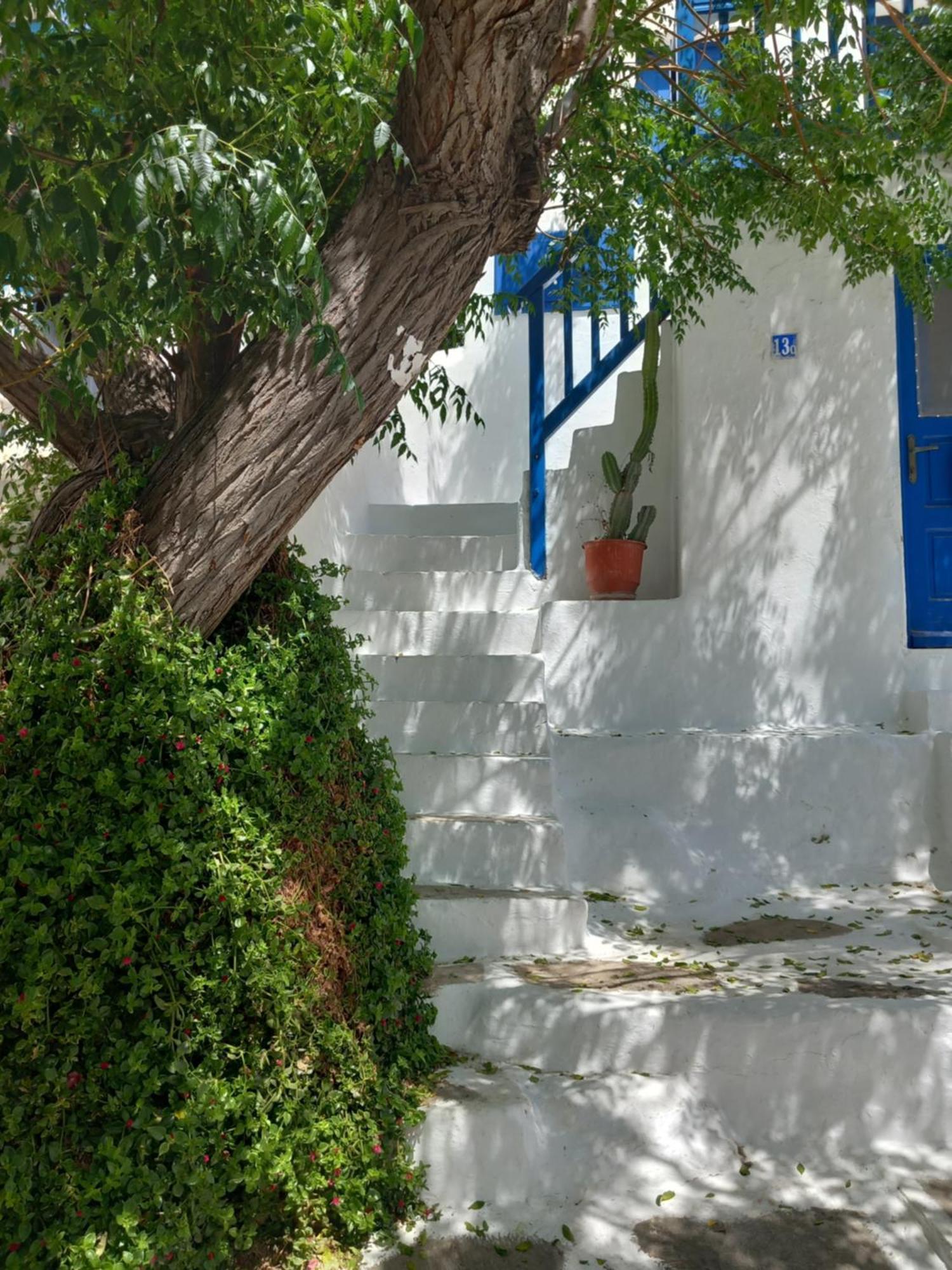Alex Oldtown Sea View Rooms And Appartments Mykonos Town Szoba fotó
