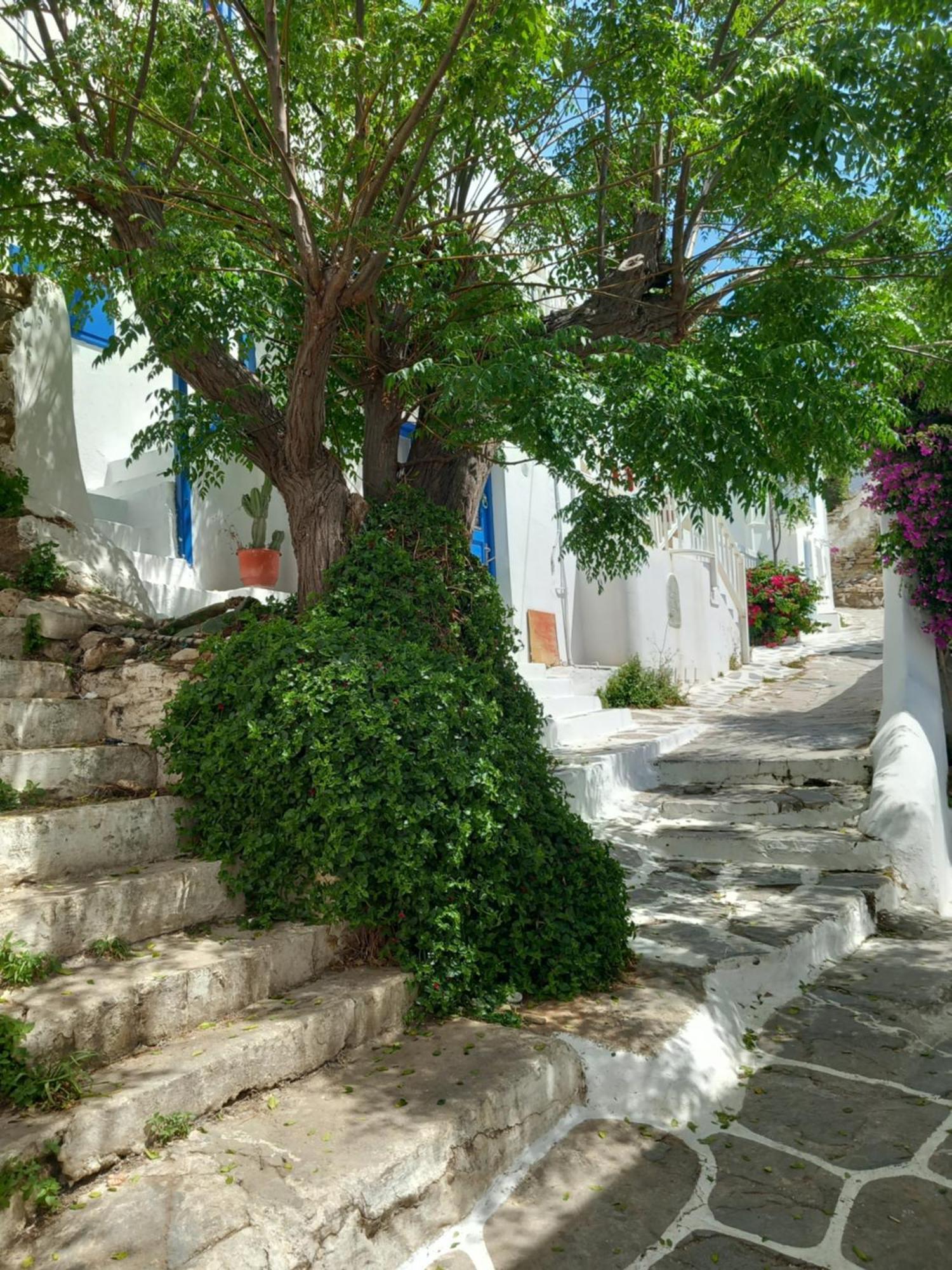 Alex Oldtown Sea View Rooms And Appartments Mykonos Town Kültér fotó